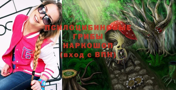 индика Володарск