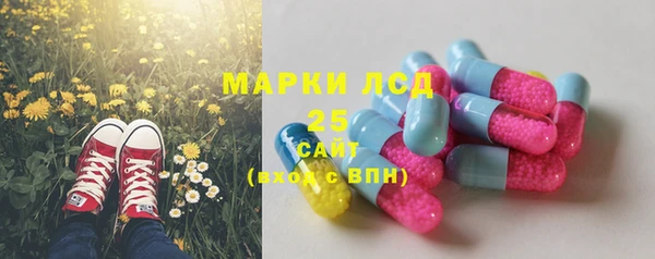 ПСИЛОЦИБИНОВЫЕ ГРИБЫ Волоколамск