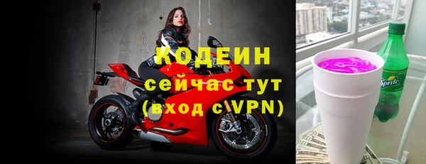индика Володарск
