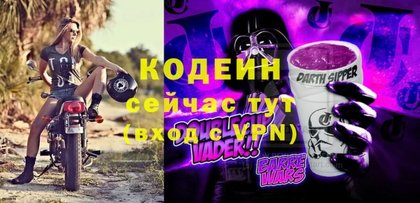 индика Володарск