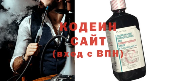 индика Володарск