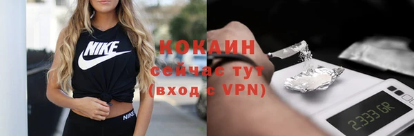 индика Володарск