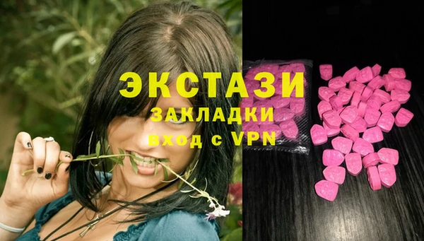 индика Володарск