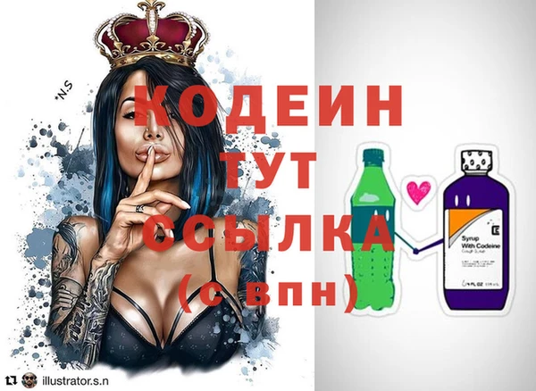 индика Володарск