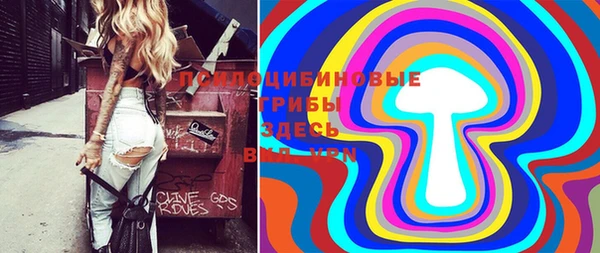 ПСИЛОЦИБИНОВЫЕ ГРИБЫ Волоколамск