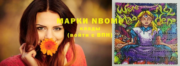 индика Володарск