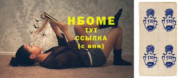 индика Володарск