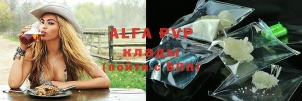 индика Володарск