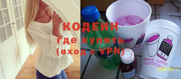 индика Володарск