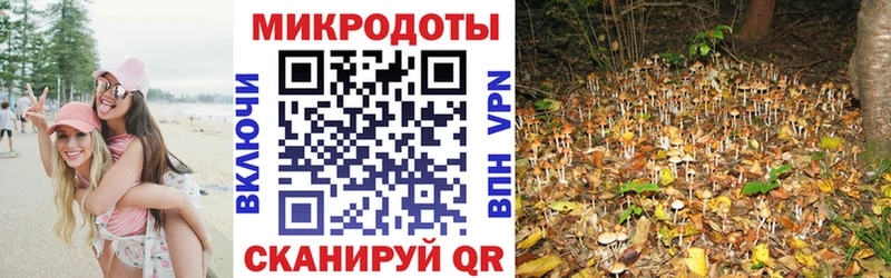 мориарти наркотические препараты  Володарск  Псилоцибиновые грибы мухоморы 