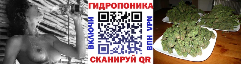 mega как зайти  Володарск  Конопля тримм 